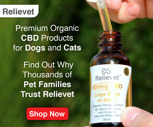 Relievet CBD Oil - Golden Years Paws